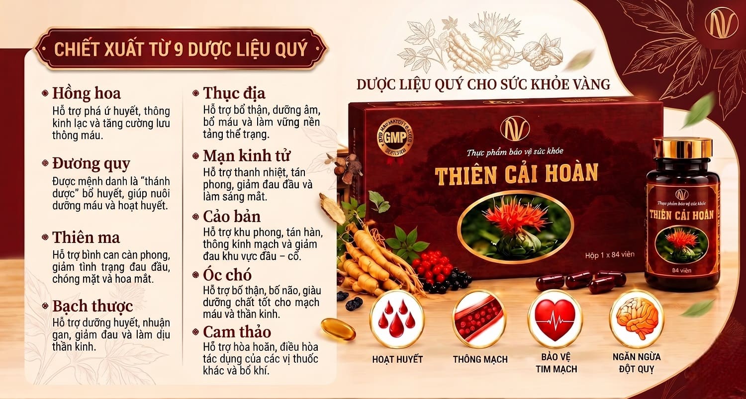 Thiên Cải Hoàn là gì? Thành phần, công dụng và cơ chế hoạt huyết 2 thien cai hoan 33s