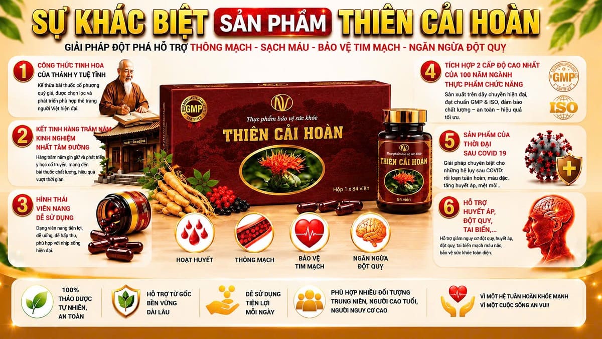 Thiên Ma Trong Thiên Cải Hoàn: Dược Liệu Hỗ Trợ An Thần Và Tuần Hoàn Máu Thần Kỳ 2 Tác dụng của Thiên ma trong Thiên Cải Hoàn đối với hệ tuần hoàn não và huyết áp