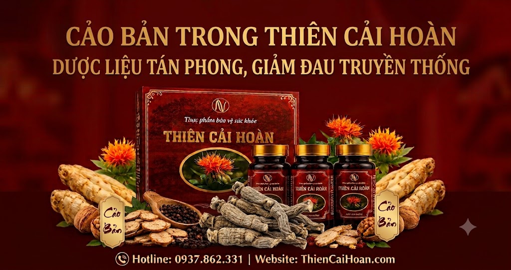 Cao ban trong Thien Cai Hoan