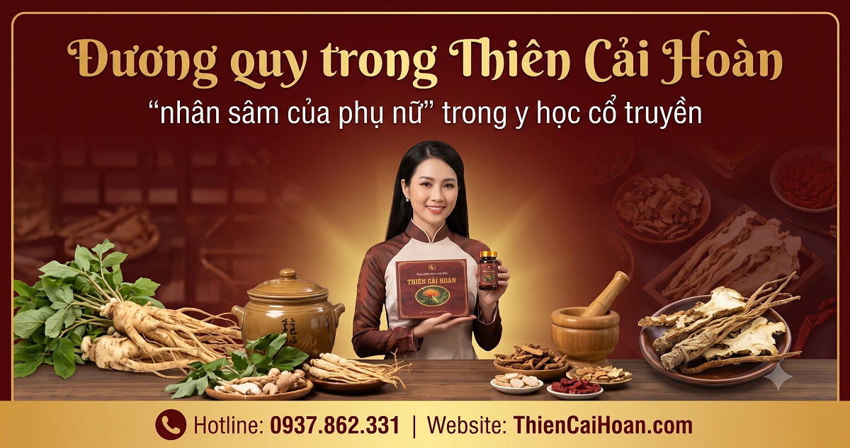 Duong quy trong Thien Cai Hoan