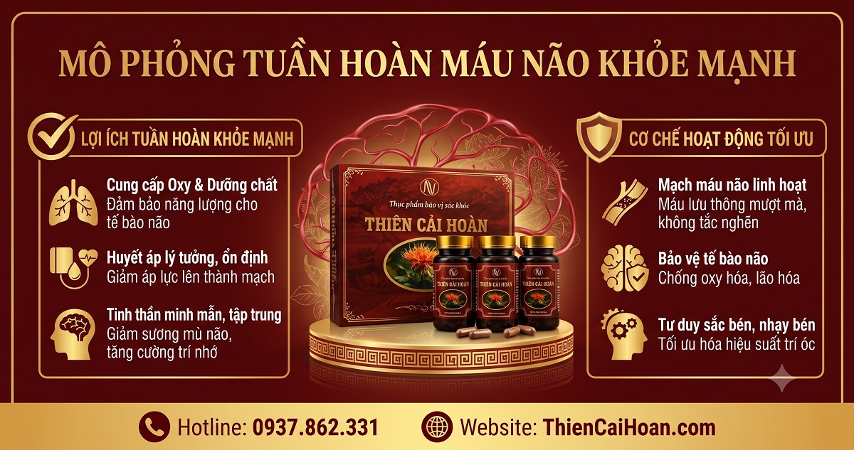 Thiên Cải Hoàn Dùng Cho Ai? Hướng Dẫn Chi Tiết Đối Tượng Nên Và Không Nên Sử Dụng 2 Mô phỏng tuần hoàn máu não khỏe mạnh giúp giải đáp Thiên Cải Hoàn dùng cho ai hiệu quả