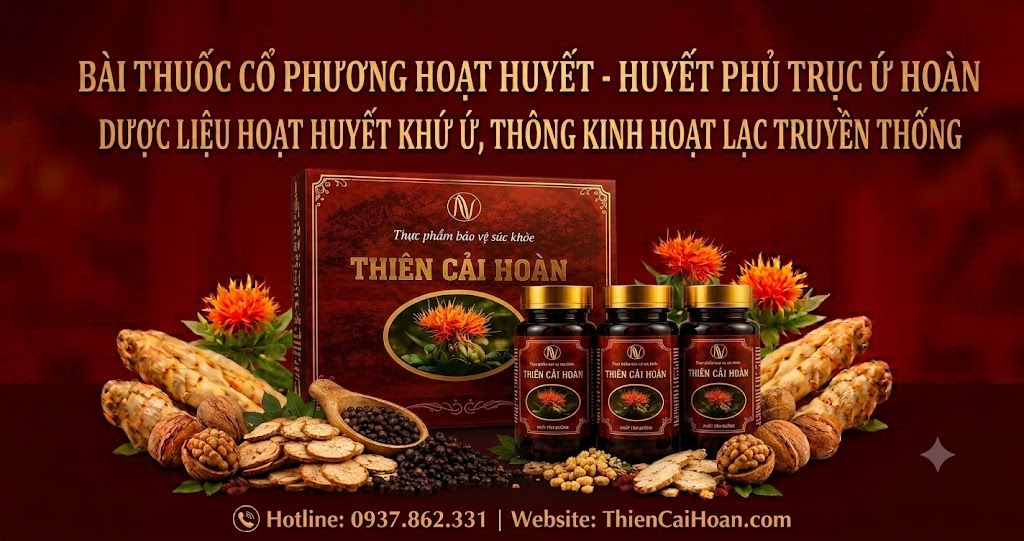 Bài Thuốc Cổ Phương Hoạt Huyết Trong Đông Y — Nền Tảng Hình Thành Thiên Cải Hoàn