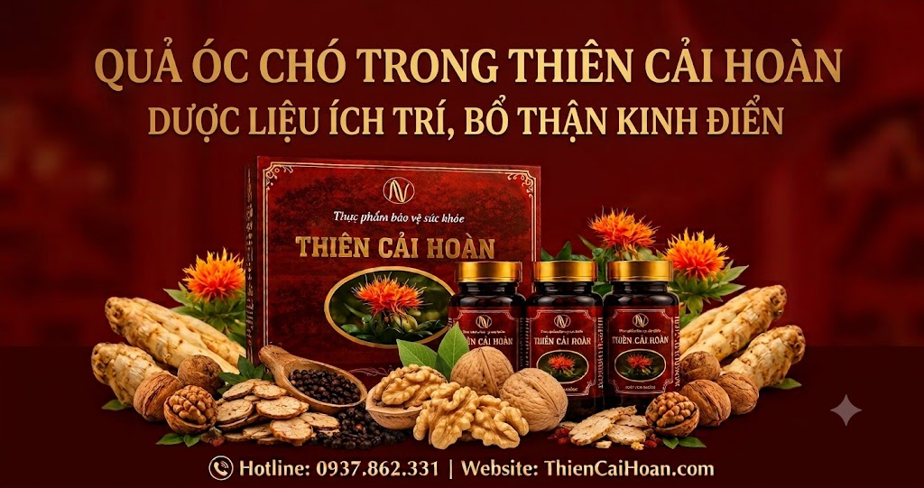 qua oc cho thien cai hoan