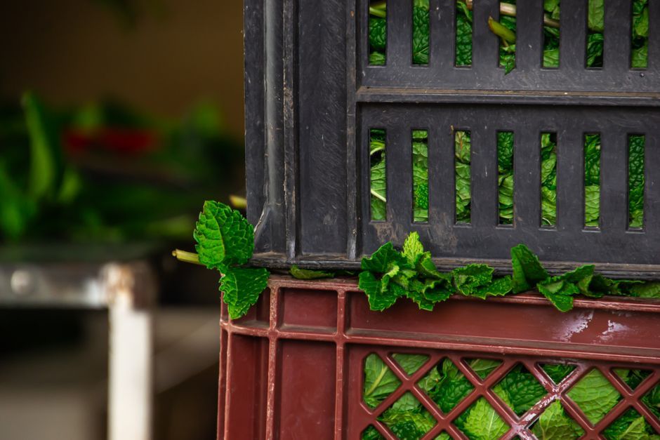 Cách Nhận Biết Thực Phẩm Có Tính Âm Hay Dương Chuẩn Đông Y 2 Các loại rau củ chứa nhiều nước có tính âm giúp thanh nhiệt và điều hòa cơ thể